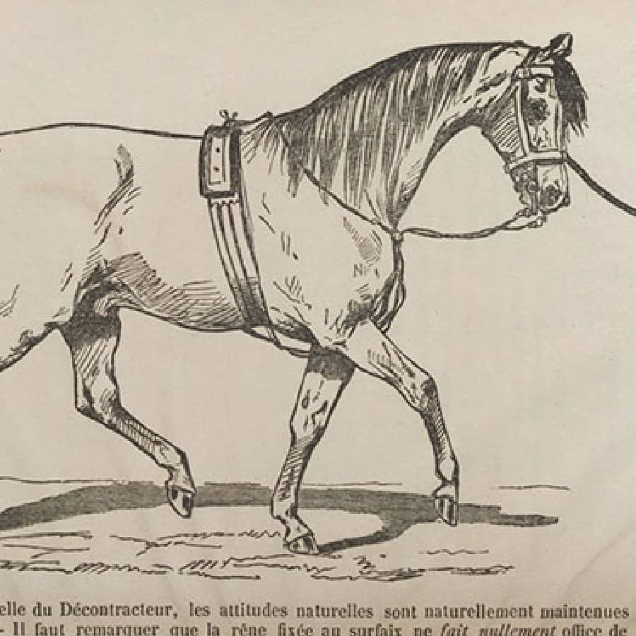 The World Horse Library